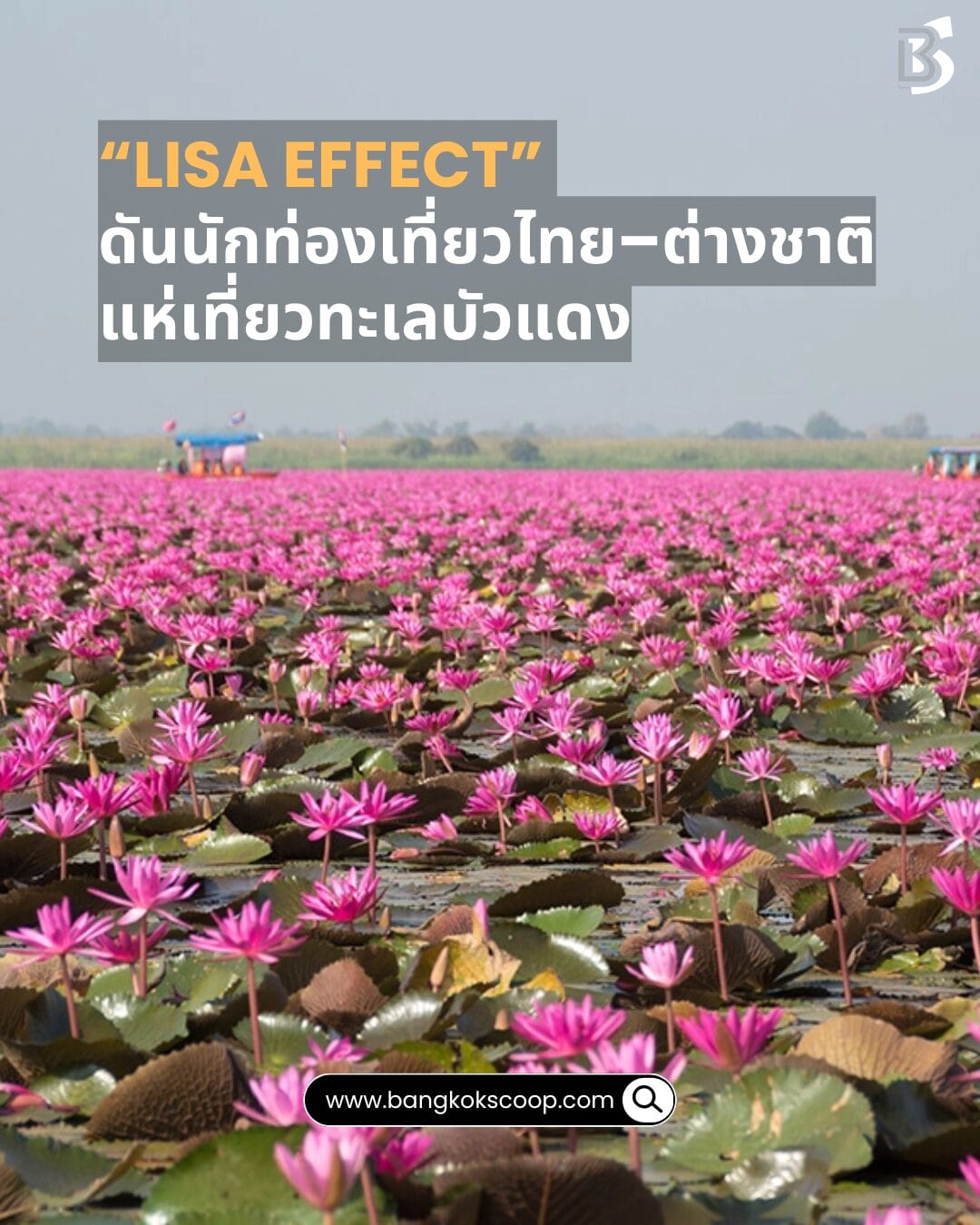 “LISA Effect” ดันนักท่องเที่ยวไทย–ต่างชาติแห่เที่ยวทะเลบัวแดง