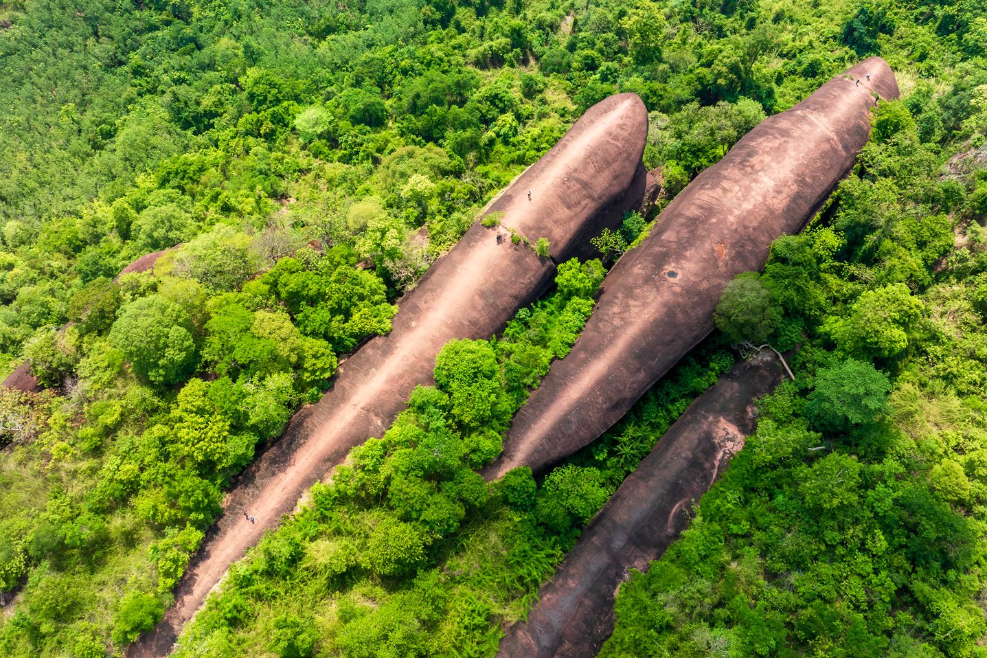 Aerial view of Three Whale Rock (Hin Sam Wan) surrounded by forest in Bueng Kan